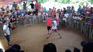 #fiesta fight# naka chamba panalo😆