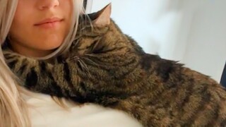 Special ways cat say " I LOVE YOU" to human