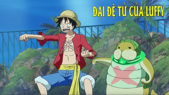 THẦY TRÒ LUFFY TÁI NGỘ ở Tân Thế Giới - Đại đệ tử của Lù