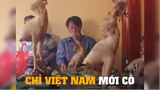chỉ Việt Nam mới có nhưng điều độc lạ này #meme
