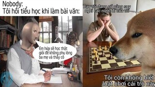 Ảnh chế hài hước và ảnh chế memes | Phần 46: Tôi hồi tiểu học khi làm bài văn