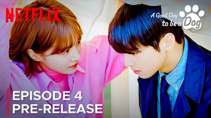 A Good Day to be a Dog | Episode 4 Pre-Release | Cha Eun Woo | Park Gyu Young {ENG SUB}