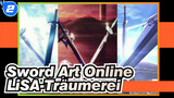 Sword Art Online|【MAD】Semua 3 Musim！Penyelesaian Memorial！LiSA-Träumerei_2