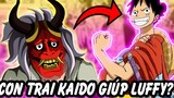 Con Trai Kaido Giúp Kẻ Thù ?! | Những Việc Làm Khó Hiểu Trong One Piece