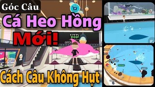 Play Together | Cách Câu Không Hụt | Tỉ lệ Đứt Dây | Góc Câu Cá Heo Hồng Mới | Quí KA