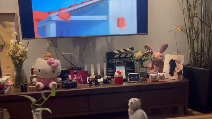 The cat was so engrossed in watching Tom and Jerry that when he saw Tom being bullied, he wanted to 