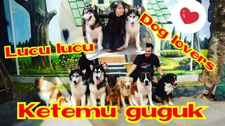 Lucunya Rumah guguk petshop 👀👀 Rumah favorit Dog lovers 👍👍 Anjing nya lucu lucu 😍😍