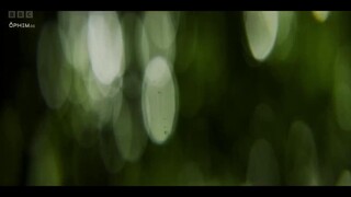 Sherwood (Phần 1) EP 5 [Sub Việt]