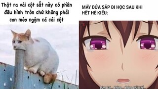 Ảnh chế MEME hài hước #189 ( có nhiều link hay)