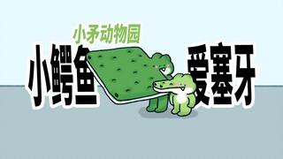 【小矛动物园】小鳄鱼的表哥为什么这么爱塞牙呢？