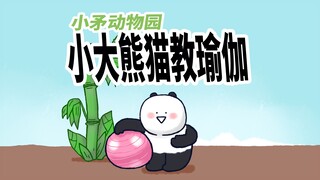 【小矛动物园】小大熊猫老师教您做瑜伽，很简单。