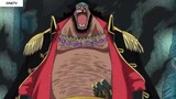 Đây Chính Là Người Đủ Sức Đánh Bại Luffy Nika_ _ Trùm Cuối Trong One Piece!!! 7