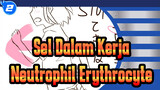 [Sel Dalam Kerja!/Animasi] Neutrophil&Erythrocyte_2