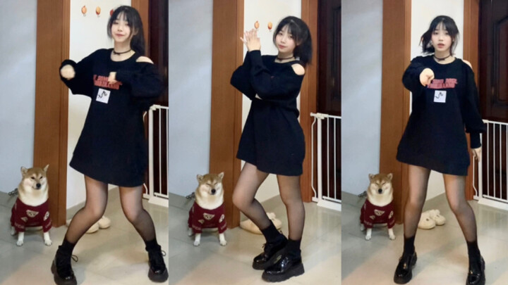 Come in and see the puppy! o(´･ω･`)o Stay at home and dance Thumbs Up! ～