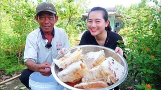 Về xã Nguyễn Phích ăn GỎI ONG, lẩu mẻ CÁ ĐỒNG và vào rừng lấy tổ ONG MẬT| ÁNH KUA