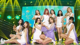 【中韩双字】祝贺蝴蝶宝首获一位！200616 WJSN - Where You Are+BUTTERFLY SBSMTV The Show