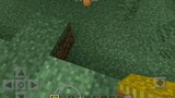 how to get baby llama in minecraft