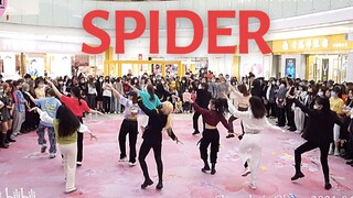 【Hoshi权顺荣】Spider 这舞好带感！随唱谁跳上海第八次KPOP随机舞蹈