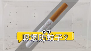 香烟居然比蚊香能更快杀死蚊子