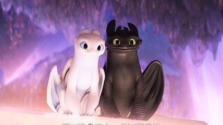 Silly Dragon also knows how to flirt with girls. Toothless finally finds true love
