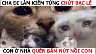 Những đứa con thất lạc của thần biển #64 | 😂😂😂