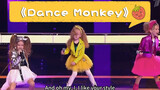 3 cuties bring Dance Monkey to new heights