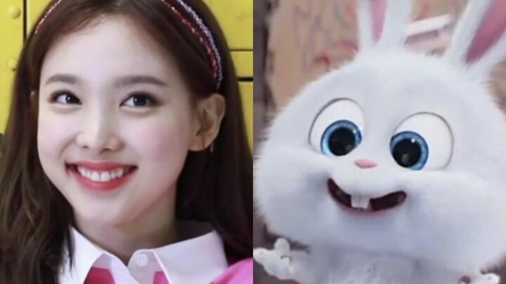 【KPOP】【Lin Nayeon】Cute Bunny idol