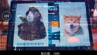 【昊磊|向哨AU】震惊！猛男的精神体居然是！(刘昊然x吴磊‖柴向导x兔哨兵)