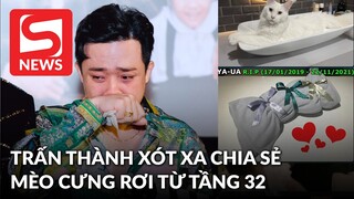 Trấn Thành đau đớn khi mèo cưng rơi từ tầng 32 xuống đất