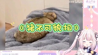 【真白花音】日本萝莉看《猪不可貌相》