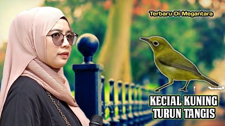 THE NEWEST YELLOW CRYING UP IN MEGANTARA