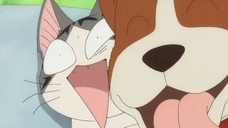 小奇！我要跟你天下第一好！