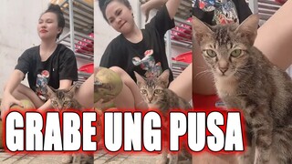 GRABE NAMAN UNG PUSA NI ATENG | Funny Videos Compilation