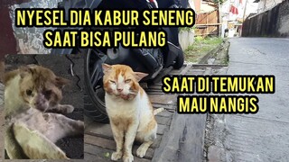 Alhamdulillah Kuasa Allah Kucing Mulutnya Menceng Sudah di Temukan Pas Ketemu Sampai Mau Nangis..!