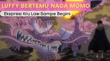 Luffy Bertemu Naga Momo, Ekspresi Kru Law Sampe Begini 😳