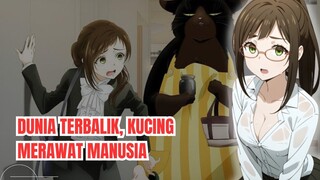 Buat Pecinta Kucing, Kalian Wajib Tonton Anime Ini : "Dekiru Neko wa Kyou Yuuutsu"