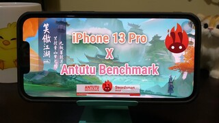 iPhone 13 Pro x Antutu Benchmark: Scores and Ranking