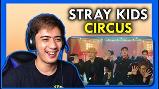 Stray Kids 『CIRCUS』 Music Video REACTION