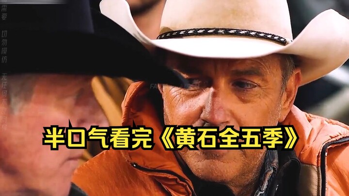 半口气看完《黄石全五季》