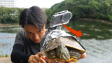 I Tied the Camera to the Turtle Shell And Get a View of How the Turtle Preys