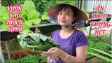 #143: Thu hoạch cải xanh và chia sẻ kinh nghiệm trồng rau sạch siêu đơn giản tại nhà