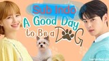 Eps. 4 A Good Day to Be a Dog Sub Indo DRAKOR