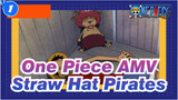 [One Piece AMV] Hilarious Daily Life of Straw Hat Pirates /
Arabasta Saga_1
