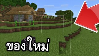 ของใหม่!! ที่ทุกคนมองไม่เห็น (โครตมีประโยชน์) | Minecraft PE