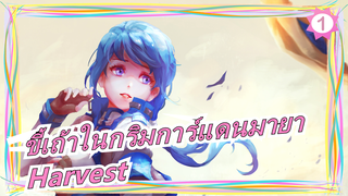 ขี้เถ้าในกริมการ์แดนมายา[MAD] - Harvest_1