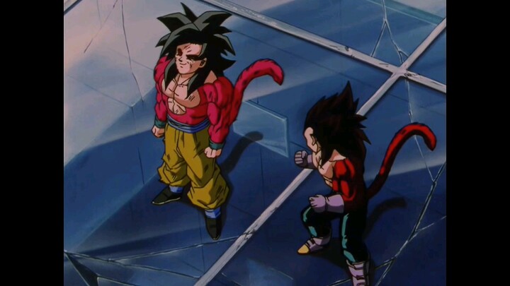 Vegeta, there will be a day when you will ask Goku to fuse with you.