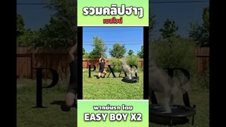 รวมคลิปฮา พากย์นรก #short #easyboy #คลิปฮา #เบสไวน์