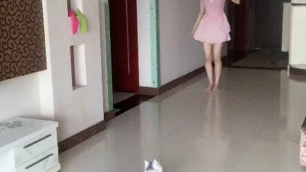 Nowadays, there are not many cat owners who can show their talents while playing with their cats (do