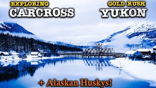 Exploring Carcross, Yukon including Dog Sledding in Canada