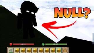 🔴I ACCIDENTALLY MET NULL IN SKYBLOCK 😱😭 -SKYBLOCK BLOCKMAN GO